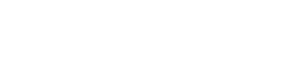 Information Security Consult